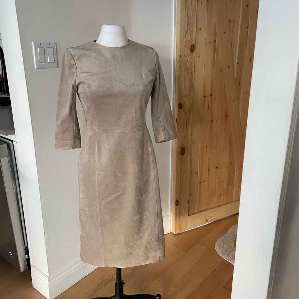 Babaton Suede Dress